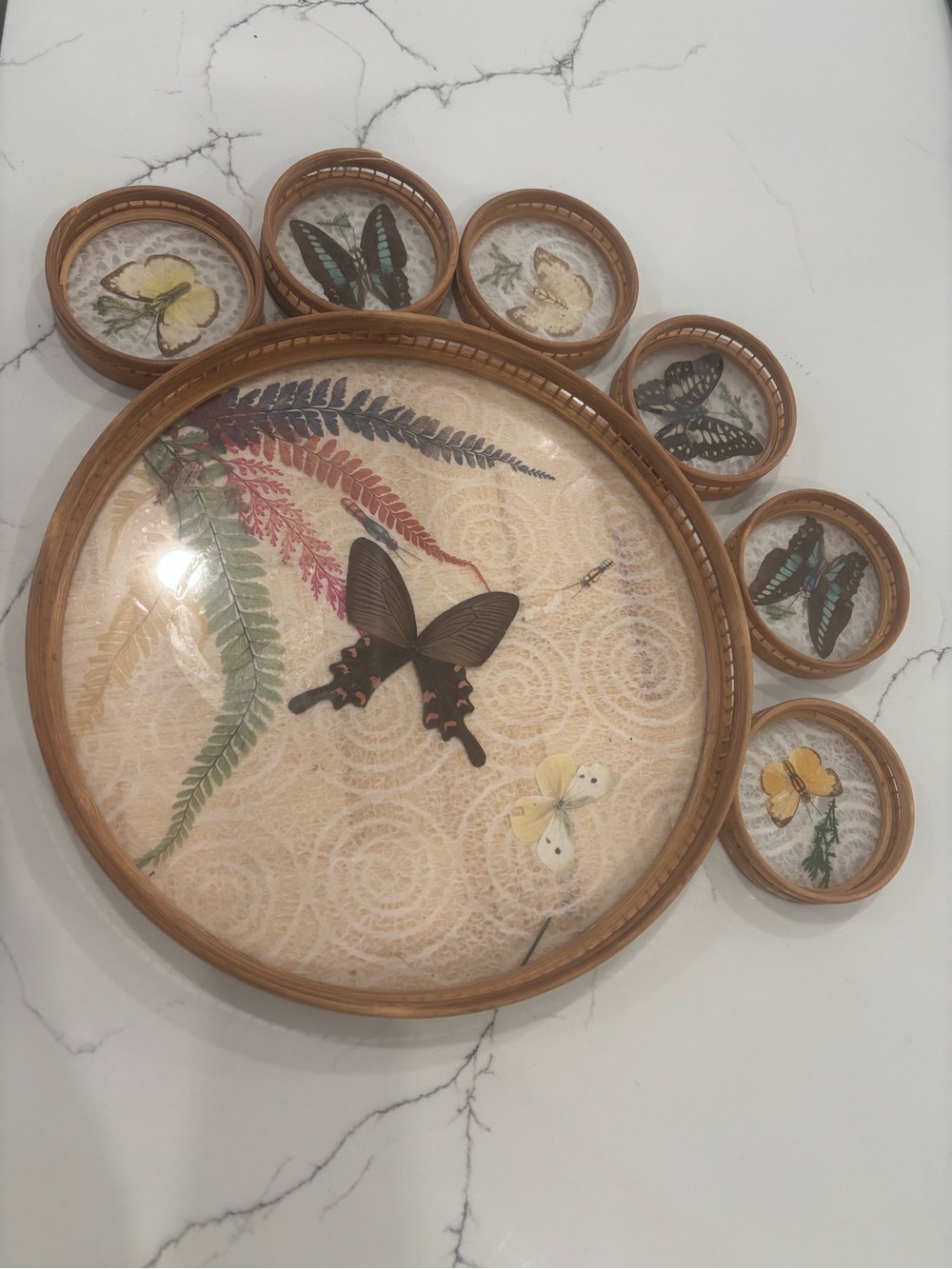 Vintage Boho Pressed Butterfly Fern Serving Tray Coaster Set- Brown & Multicolor